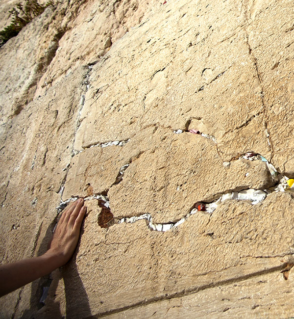 ACU School of Theology