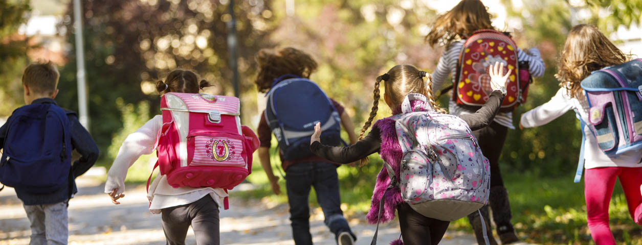 institute of  child protection