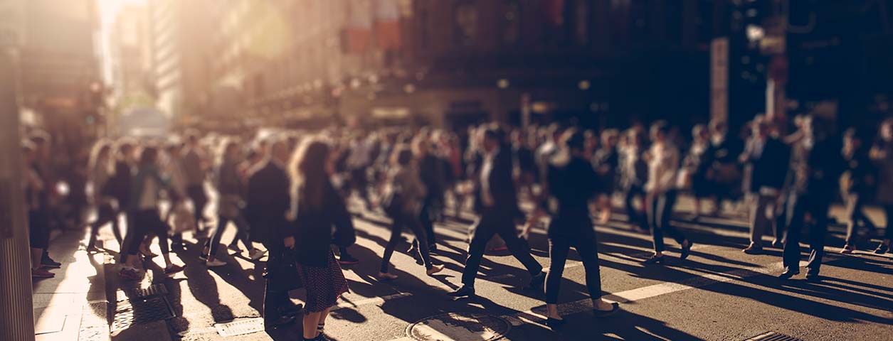 Institute of Humanities and Social Sciences