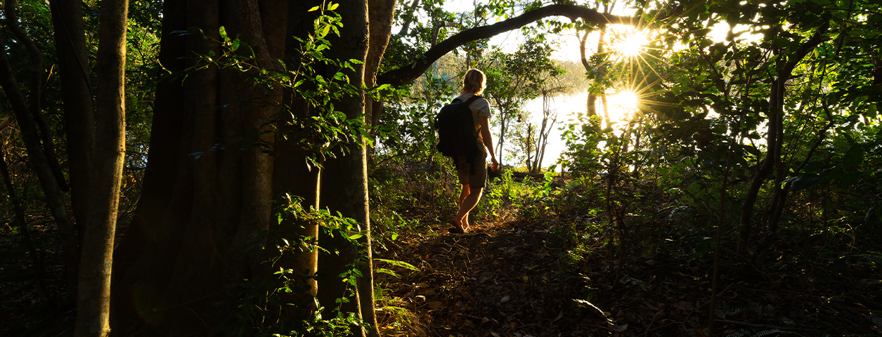 PM Glynn Institute projects