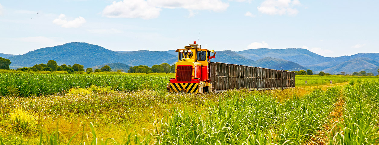 Farming machine in the middle of a field.