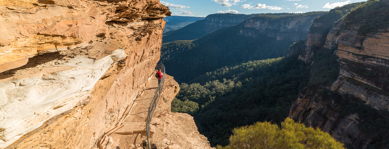 PM Glynn Institute publications