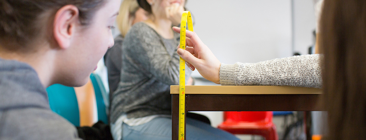 master of teaching primary education