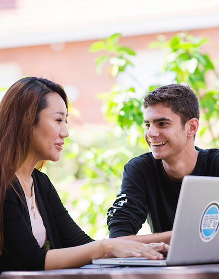 Peter Faber Business School professional experience