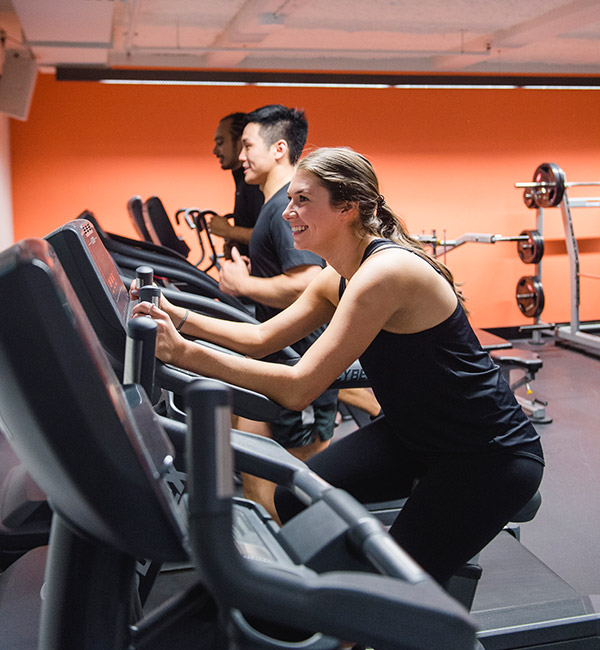 Sports And Fitness Join A Team At Acu