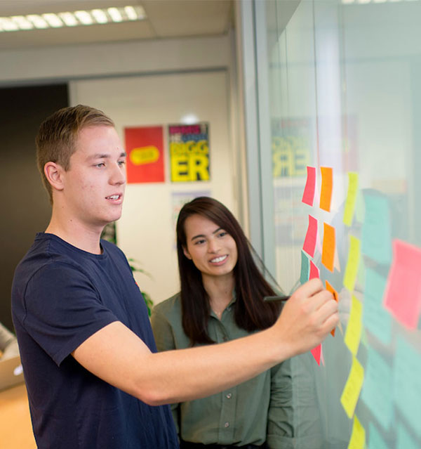 Peter Faber Business School professional experience