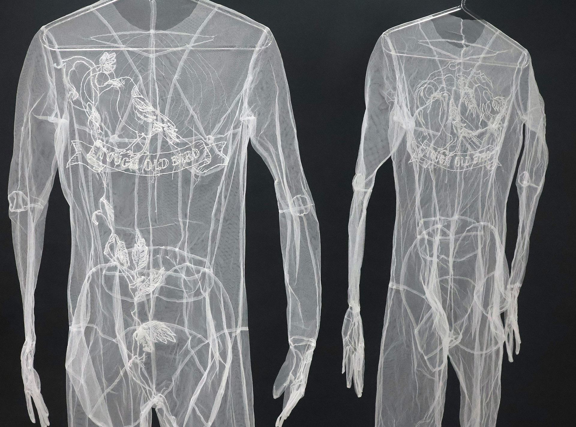  ACU-McGlade-Gallery-at-Strathfield-Clement-tough-old-birds-Mixed-Dozen