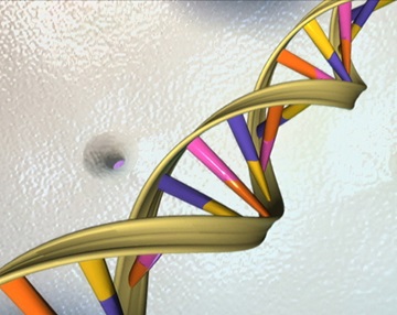 Computer generated render of a DNA strand.