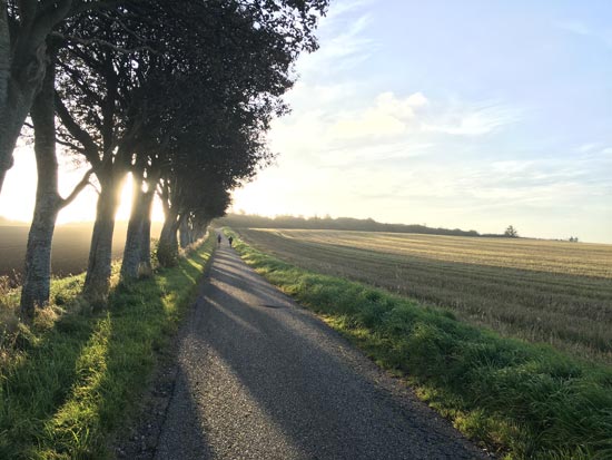  A hygge moment in Denmark soaking up the sunshine and some incredible views.
