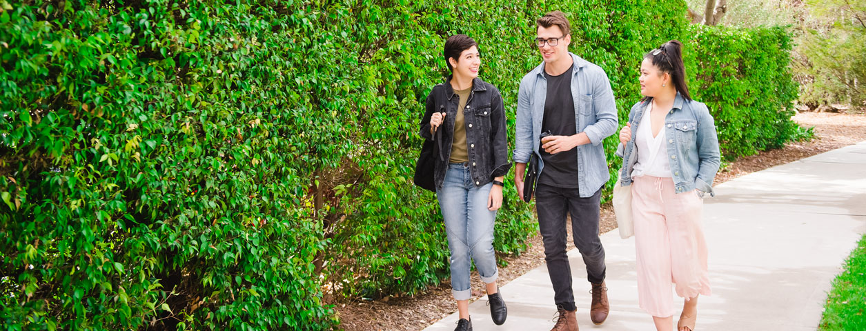 People talking among shrubbery