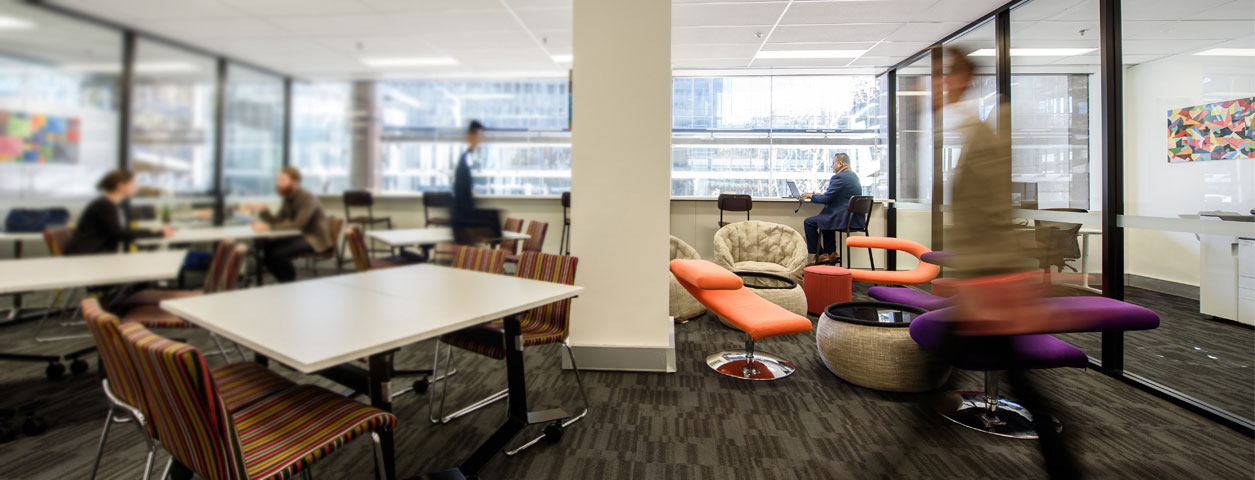 Collaborate in office